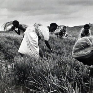 Somalia 1976