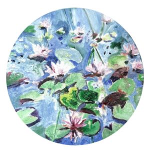 Pink waterlilies
