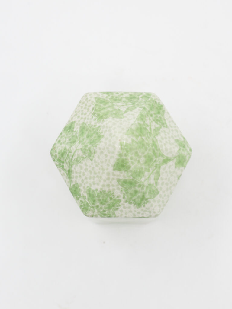 Hexagon box with green leaf pattern